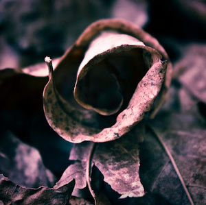 Meet your Posher, Jill ann